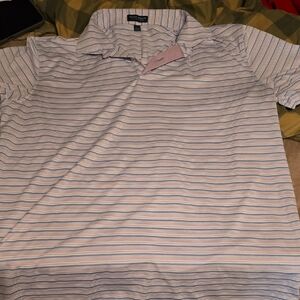 Polo by Ralph Lauren Blue and White Striped Shirt